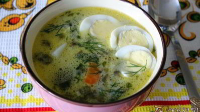 зеленые летние щи со сметаной