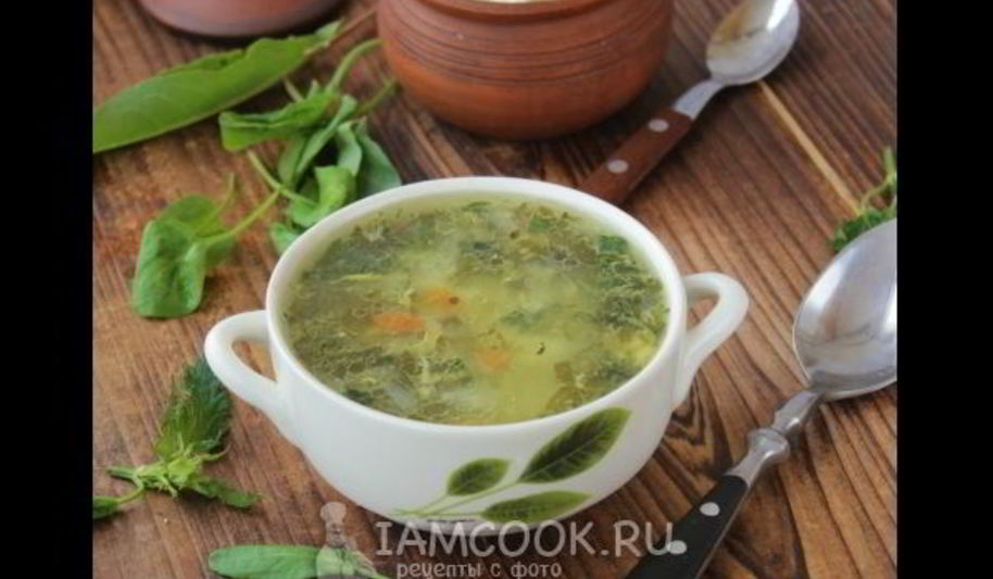 Рецепт зеленых щей с крапивой и щавелем