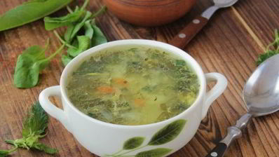 зеленые щи с крапивой и щавелем