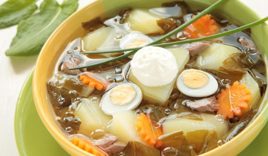 Рецепт зеленых щей с щавелем и перепелиными яйцами