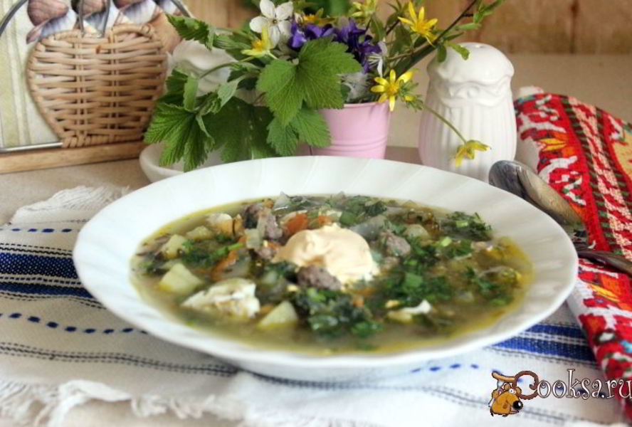 Зеленые весенние щи с фрикадельками