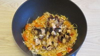 грибная солянка с капустой