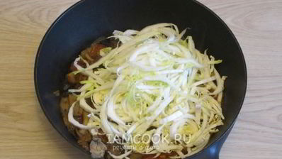 грибная солянка с капустой