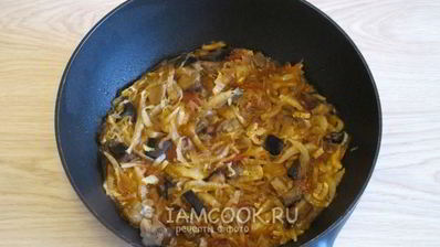 грибная солянка с капустой