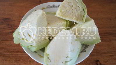 солянка из капусты