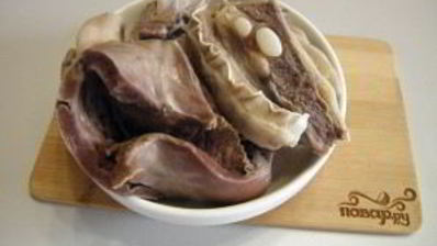 солянка классическая