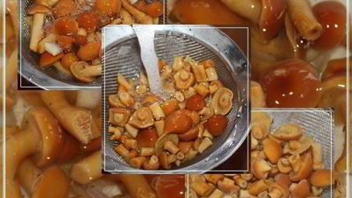 солянка рыбная сборная