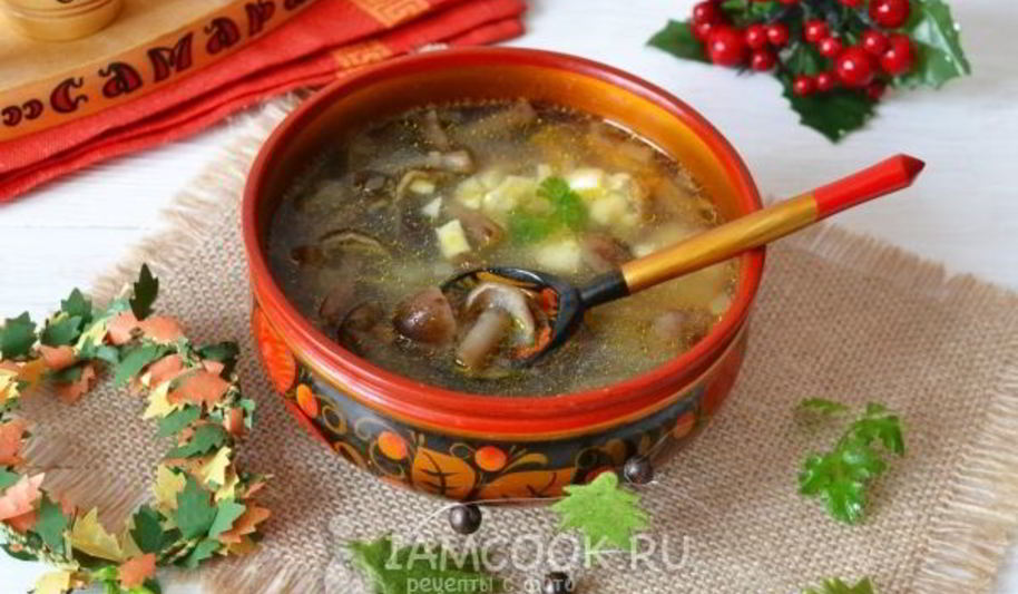 Рецепт супа грибного из опят