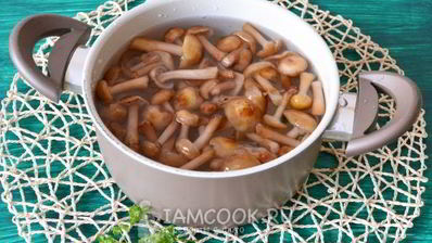 суп грибной из опят