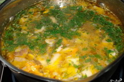 Суп из белых грибов свежих