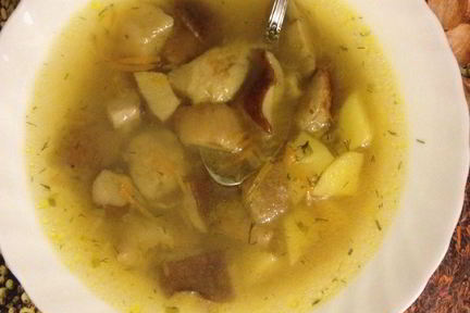 Суп из белых грибов