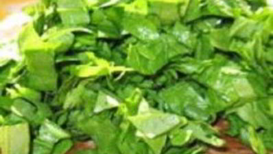 суп из щавеля