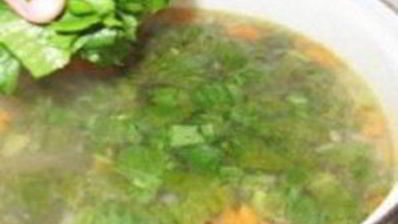 суп из щавеля