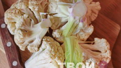 суп по-французски