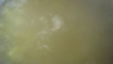 сливочный суп-пюре с семгой