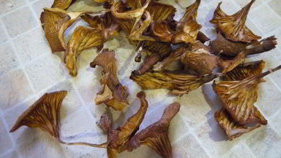 суп-пюре со сладким перцем, спаржевой фасолью и грибами