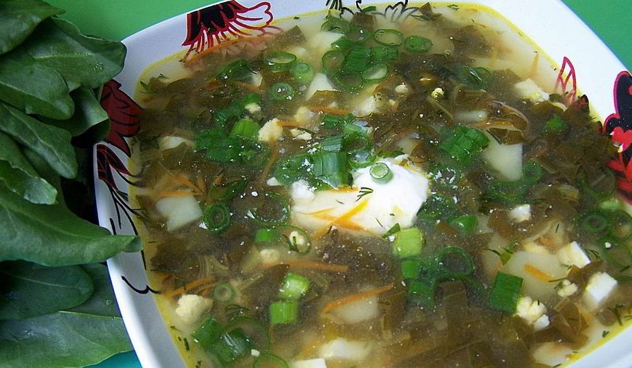 Рецепт супа со щавелем и курицей