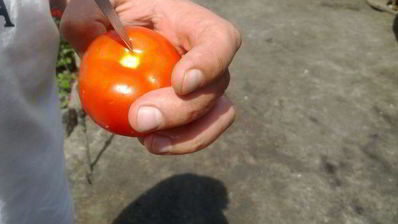 супчик с телятиной на костре