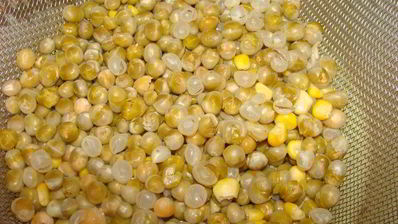 сырный суп с говяжьими ребрами