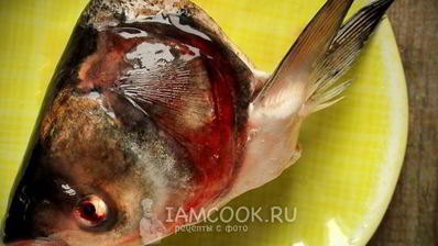 уха из головы толстолобика