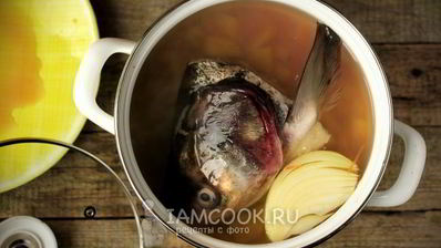 уха из головы толстолобика