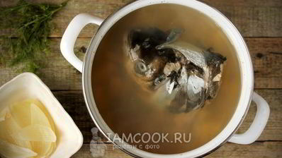 уха из головы толстолобика