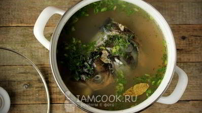 уха из головы толстолобика