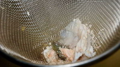 уха из горбуши