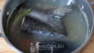 уха из кеты