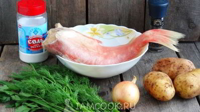 уха из морского окуня