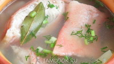 уха из морского окуня