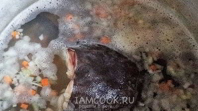 уха из налима