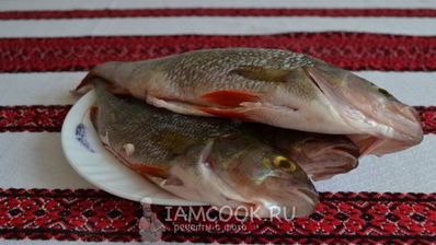 уха из речного окуня