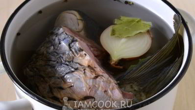 уха из сазана