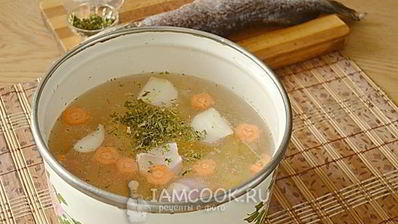 уха из щуки