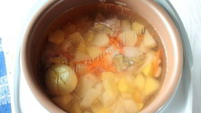 уха из сома в мультиварке