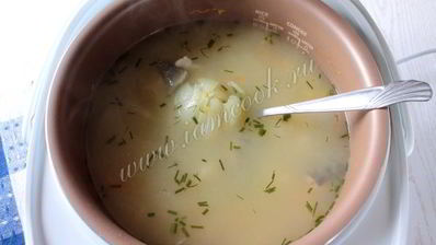 уха из сома в мультиварке