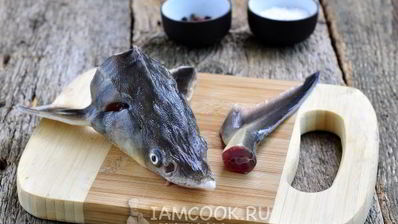 уха из стерляди