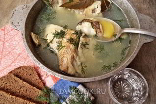 Уха из судака по-рыбацки