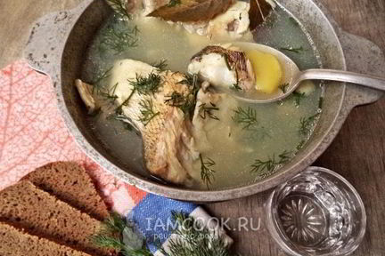 Уха из судака по-рыбацки
