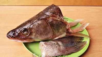 уха из судака по-рыбацки