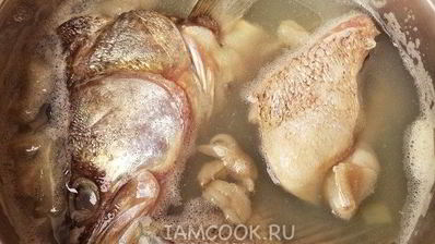 уха из судака по-рыбацки