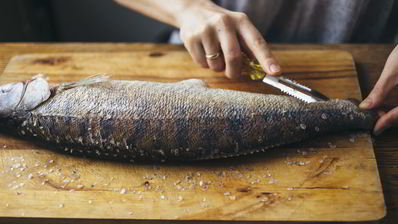 уха из судака