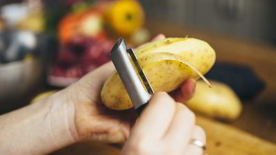 уха из судака