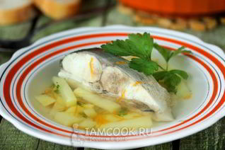 Уха из толстолобика