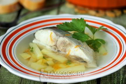 Уха из толстолобика