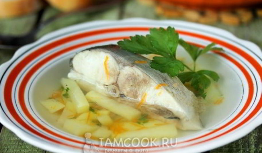 Рецепт ухи из толстолобика