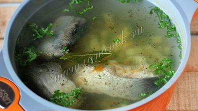 уха из толстолобика