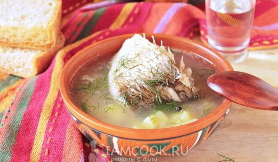Рецепт ухи из язя