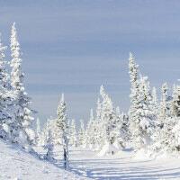 Галка Бубневич